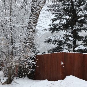 Meet your Posher, Clarissa